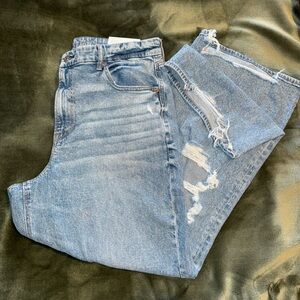 American Eagle Curvy Jeans